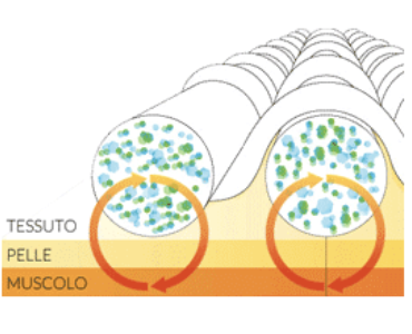 Processo 3