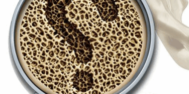 Schermata 2024-08-22 alle 16.27.19